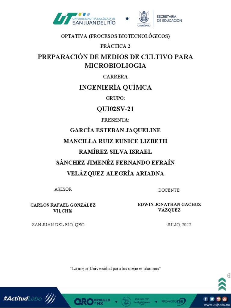 Fase 2: Preparación del Medio Aromático