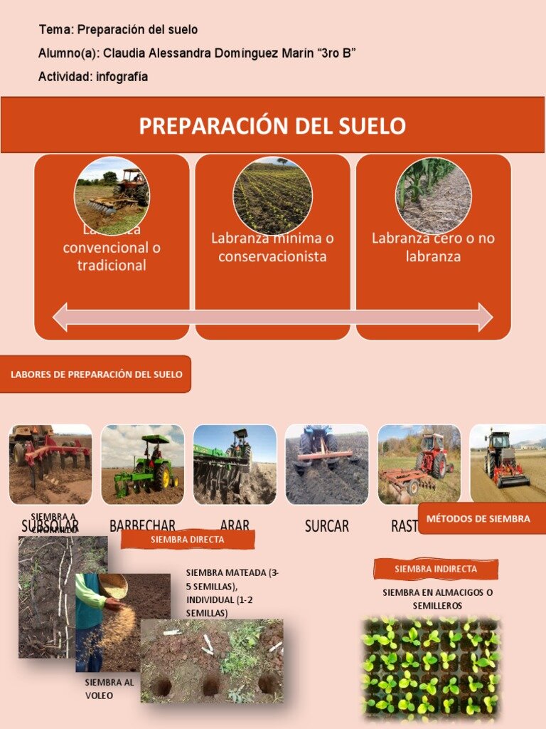   Preparación