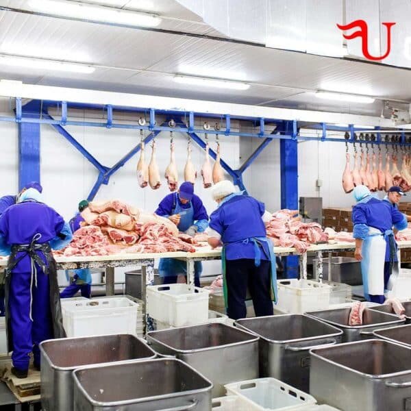 Preparación de la carne