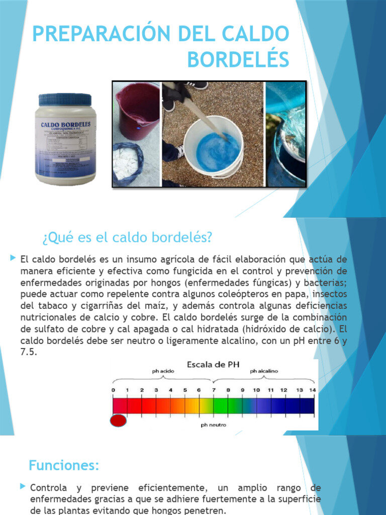 Preparación del caldo
