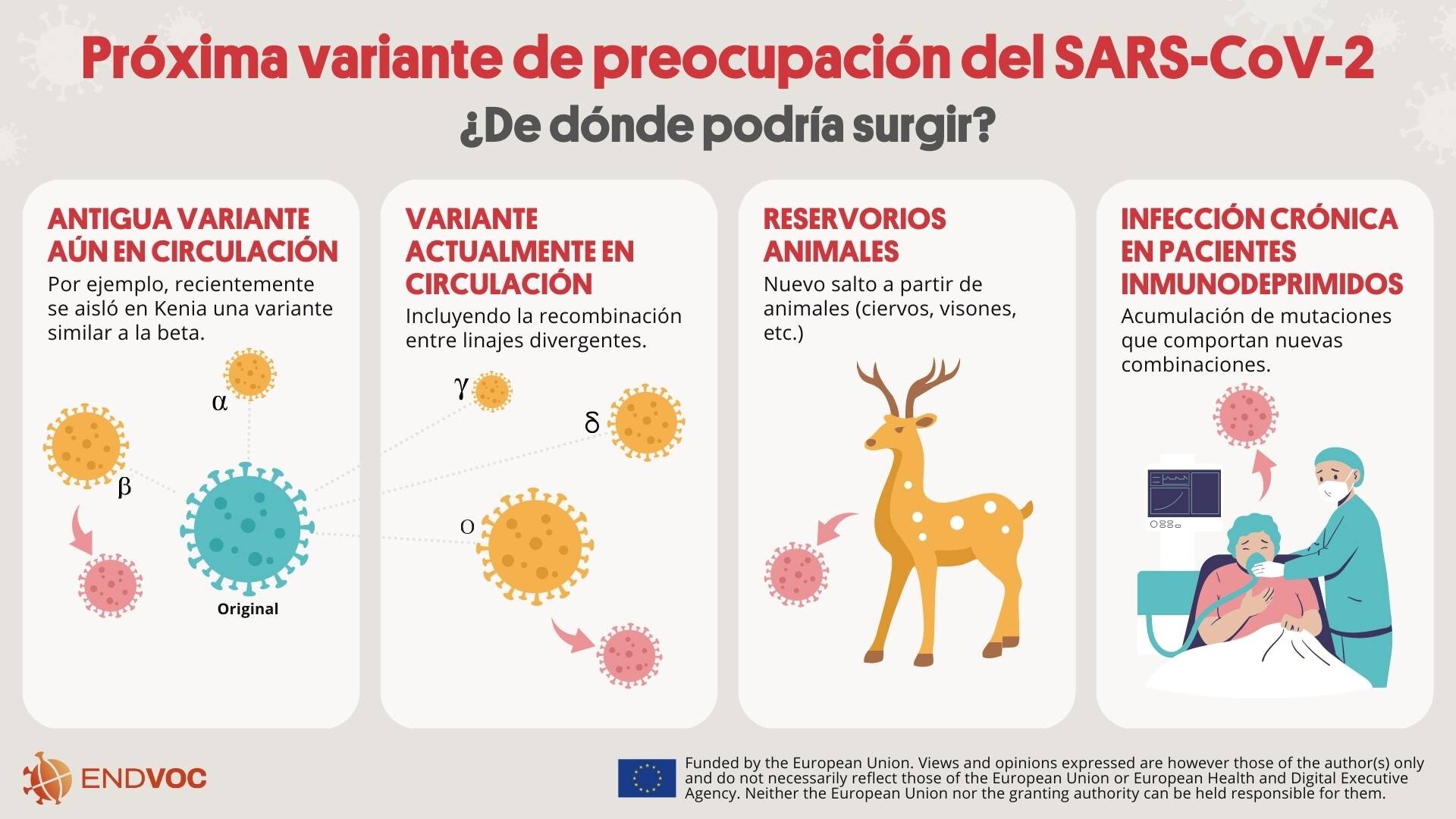 Variantes