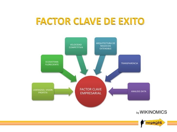 Selección de ingredientes: La clave del éxito