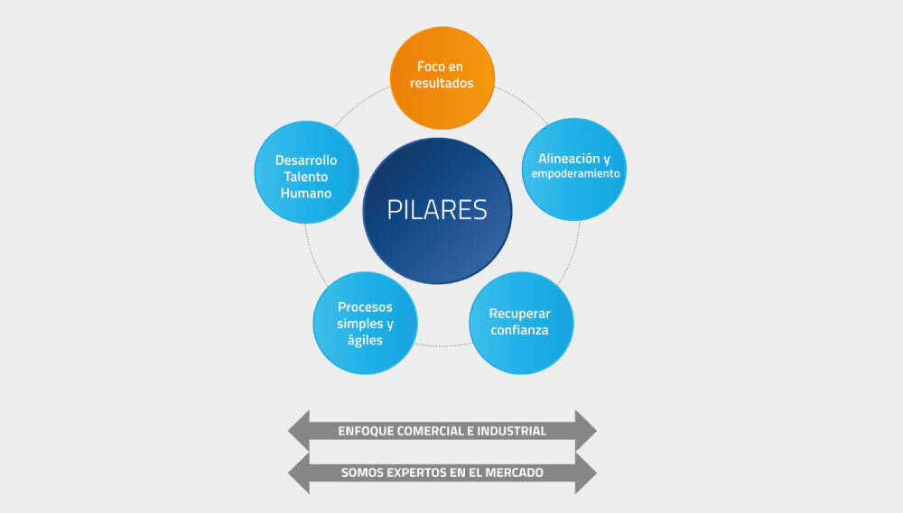 Los Cuatro Pilares Fundamentales del Ramen