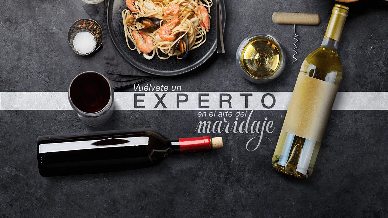 Maridaje ideal: ¿Qué vino acompañará a nuestro plato?