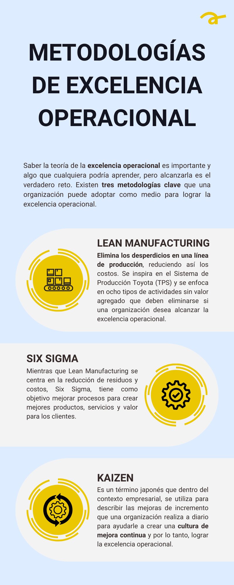 Selección de ingredientes: La base de la excelencia