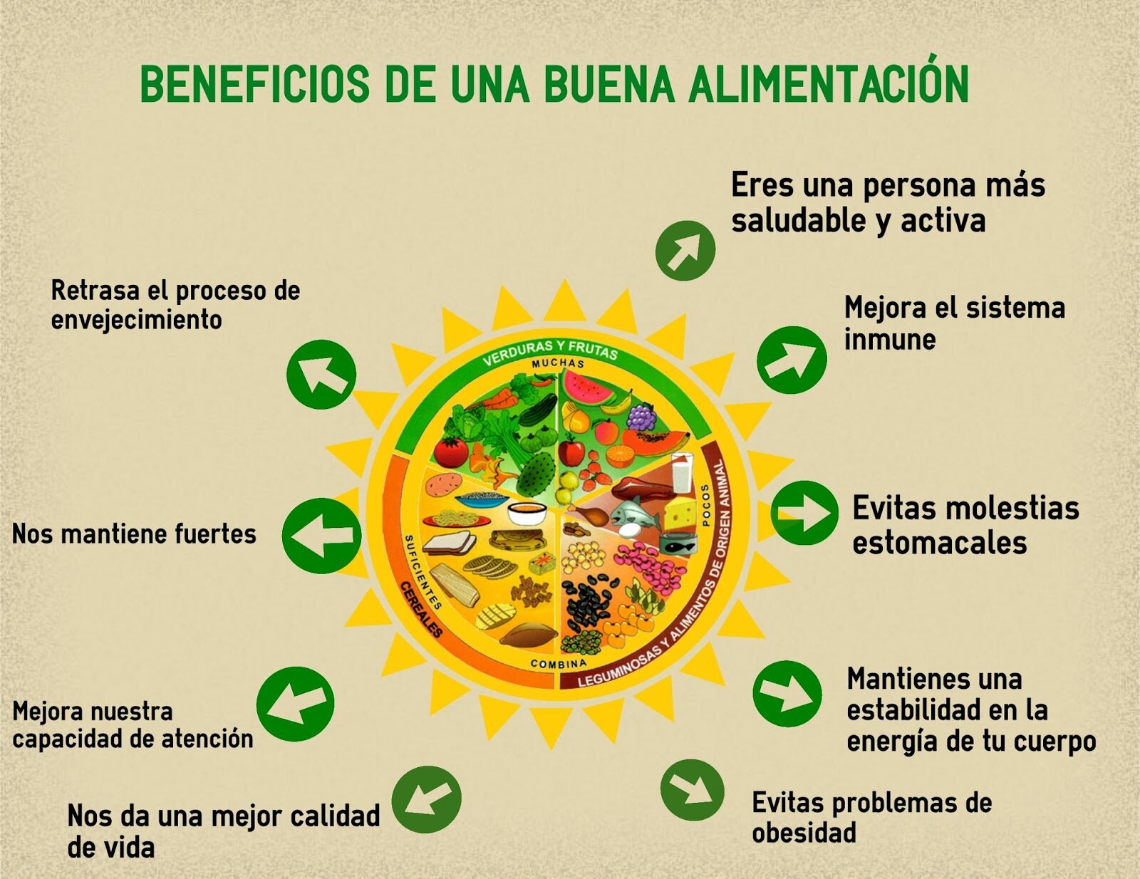 Beneficios Nutricionales de los Ingredientes Principales