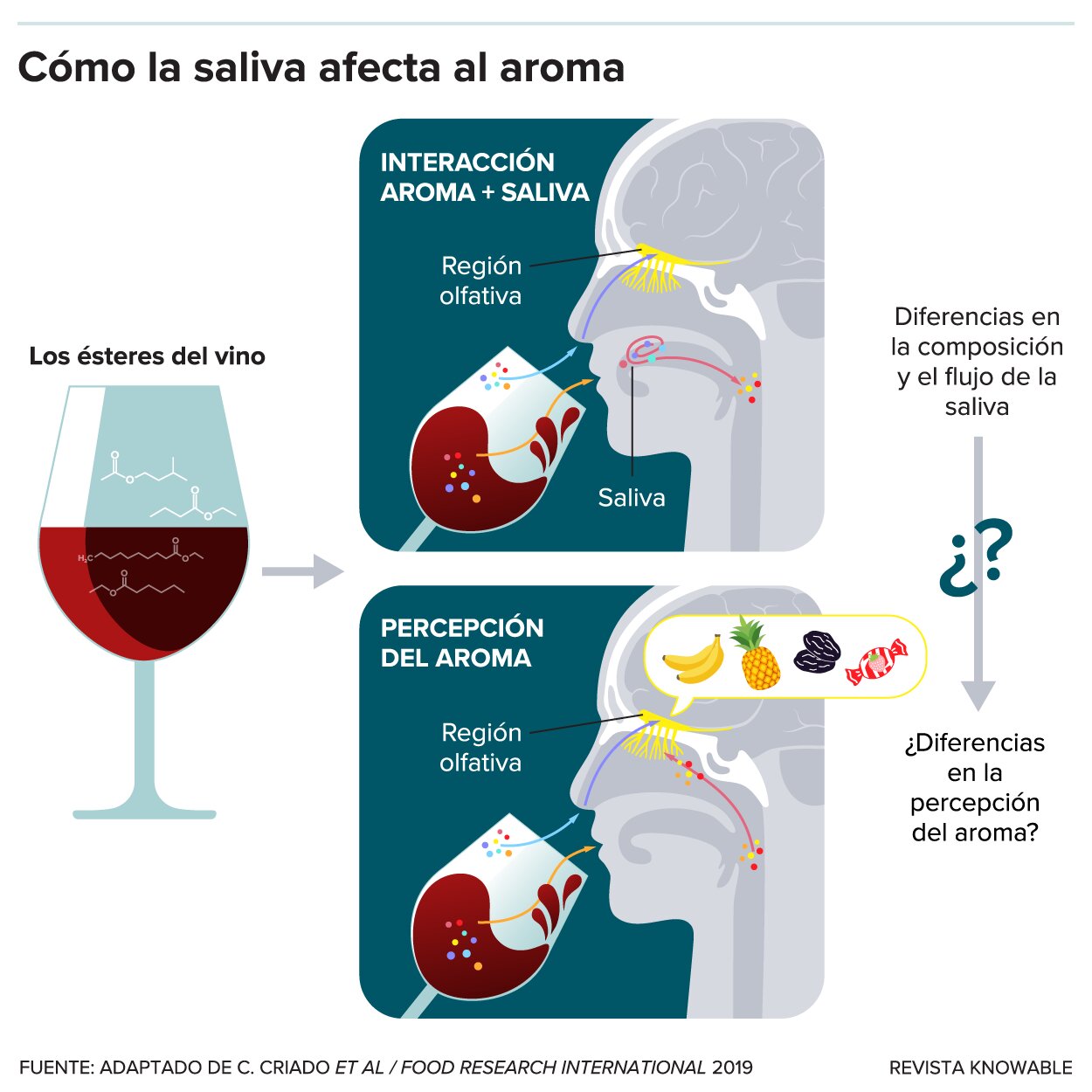 Conclusión del sabor