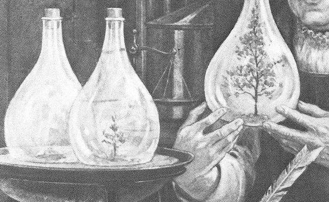 La alquimia del sabor: Tratamiento de la legumbre