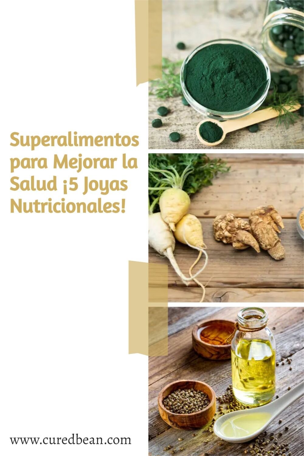 Beneficios Nutricionales de esta Joya Gastronómica