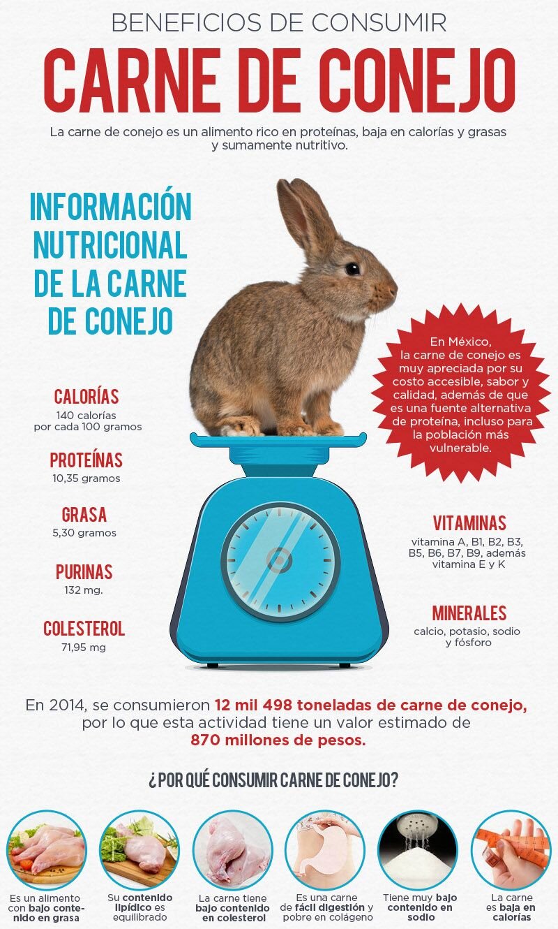 Beneficios nutricionales de incluir conejo en tu dieta