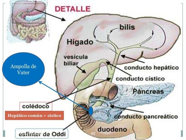 Herramientas y Utensilios Recomendados