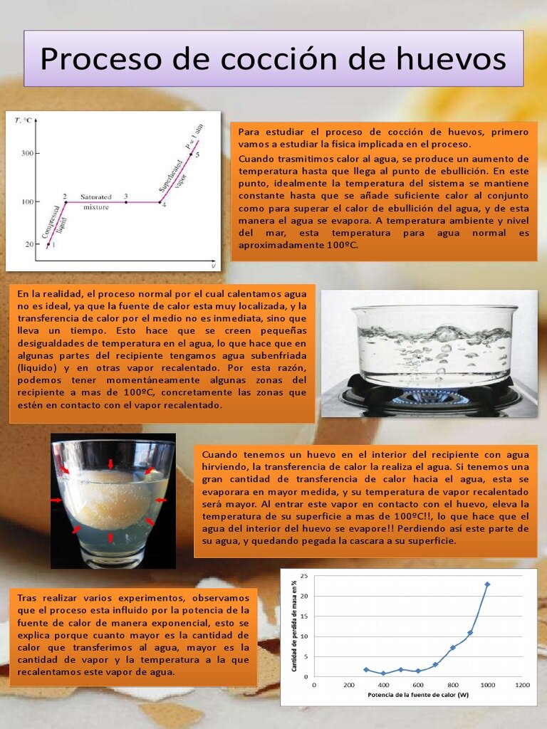 La Ciencia de la Cocción: El Huevo Perfecto
