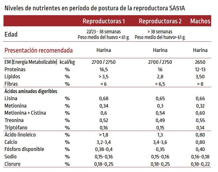 Valor Nutricional (Por Ración)
