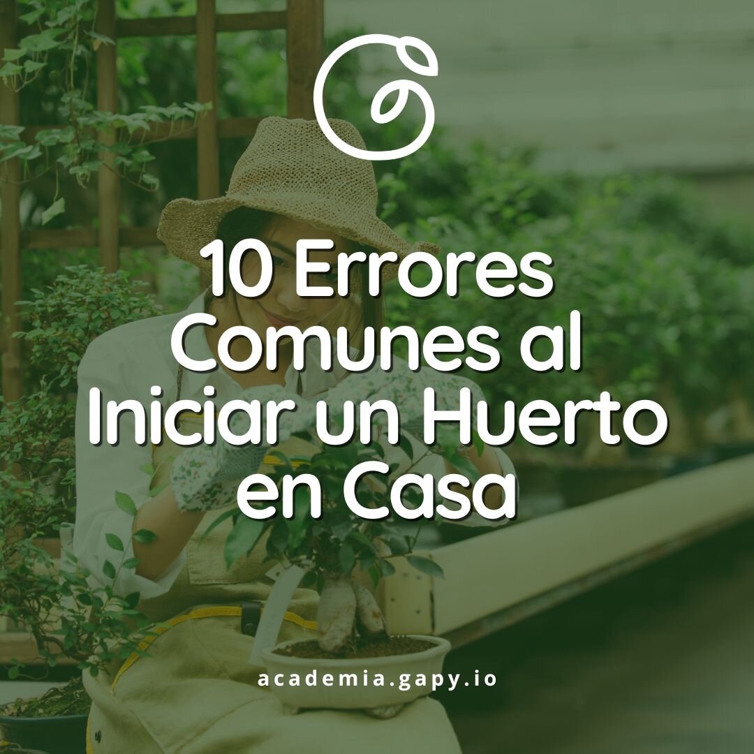 Errores comunes que arruinarán tu ramen vegetal