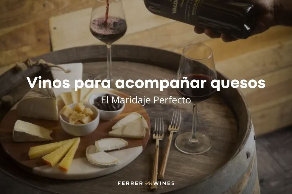 Maridaje Perfecto: ¿Qué Beber?
